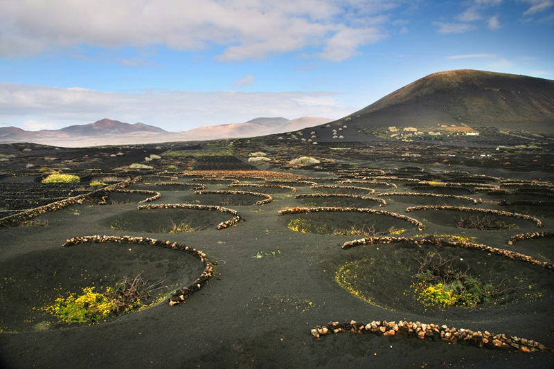 Ordenar para proteger Lanzarote y La Graciosa