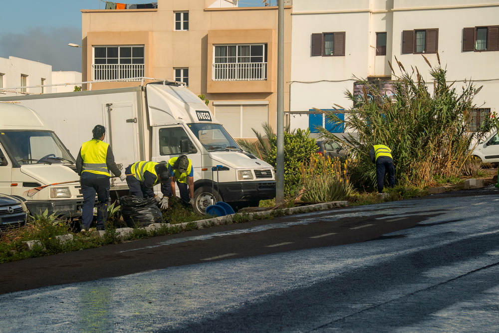 Plan Limpieza actuaciones en Altavista