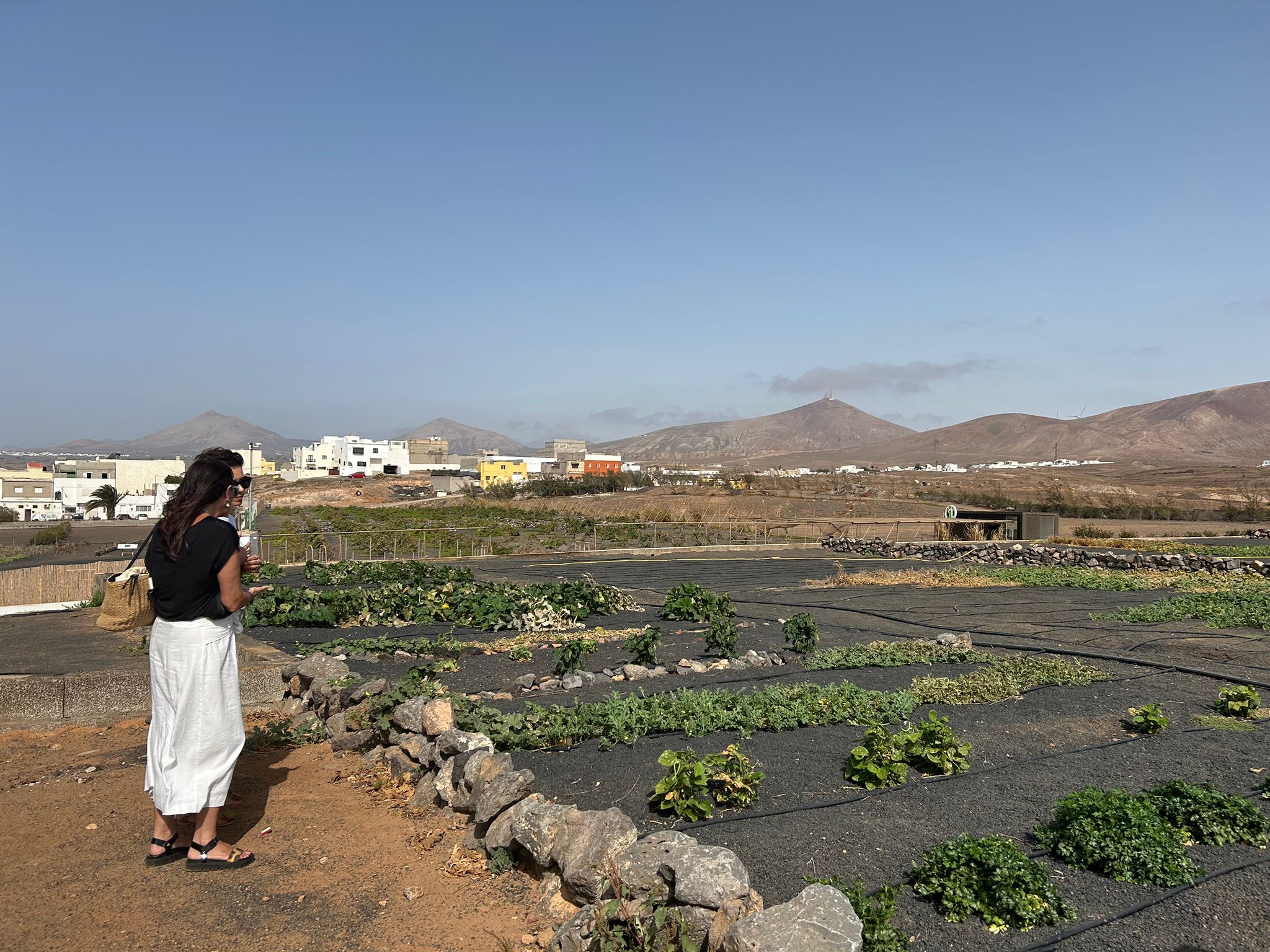 El Cabildo de Lanzarote aprueba un convenio con la Asociación La Vida es Zuaina para impulsar proyectos sociales y agrícolas en el CBAL