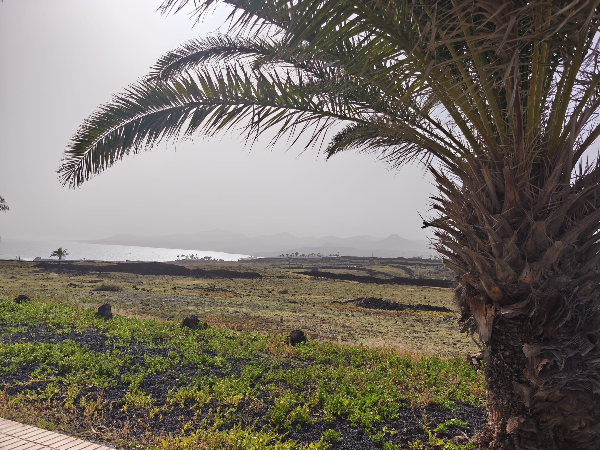 calima en lanzarote lancelot 