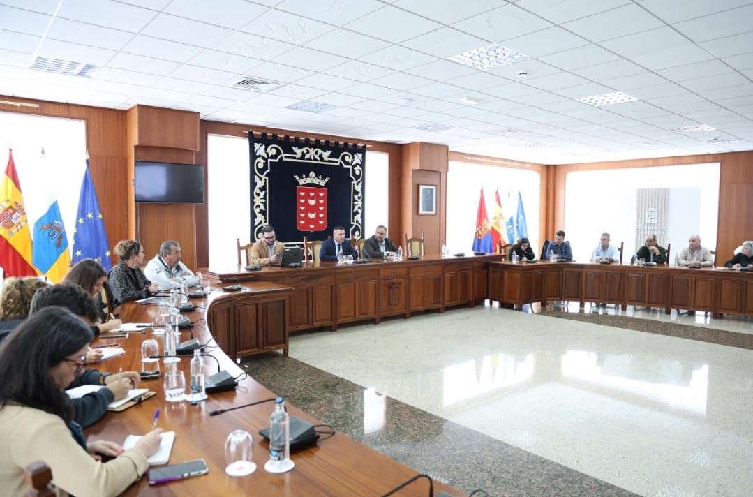 El Cabildo se organiza para ordenar la implantaci&oacute;n de energ&iacute;as renovables en Lanzarote
