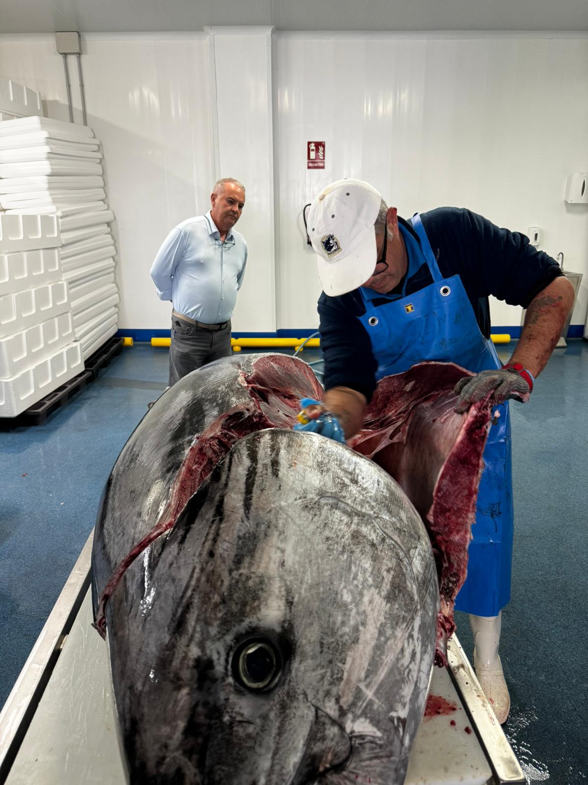 Ha sido adquirido por un prestigioso restaurante de Playa Blanca, pesa 350 kilos y ha costado casi 10 mil euros