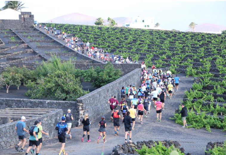 Wine Run Lanzarote