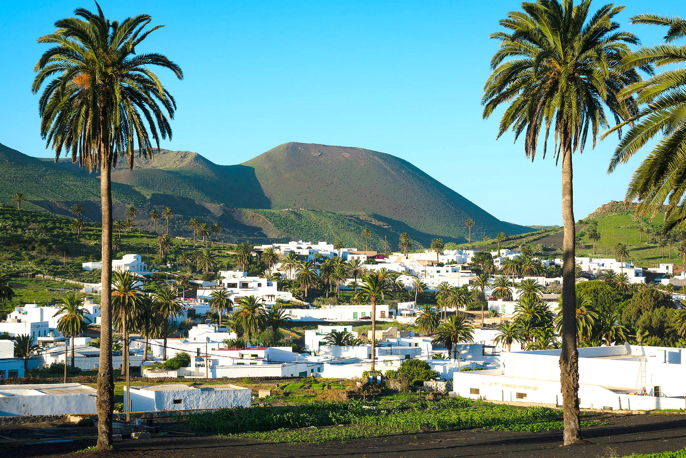 Har&iacute;a: estancada en el tiempo