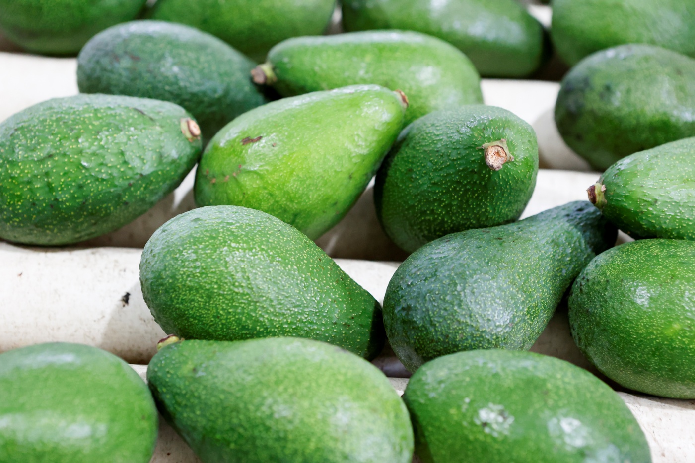 HiperDino refuerza su compromiso con el aguacate canario adquiriendo un millón de kilos