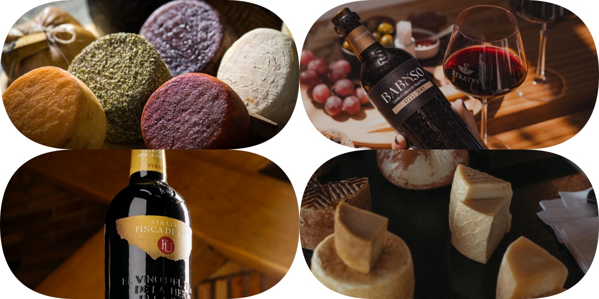 quesos deliciosos y vinos aún mejor