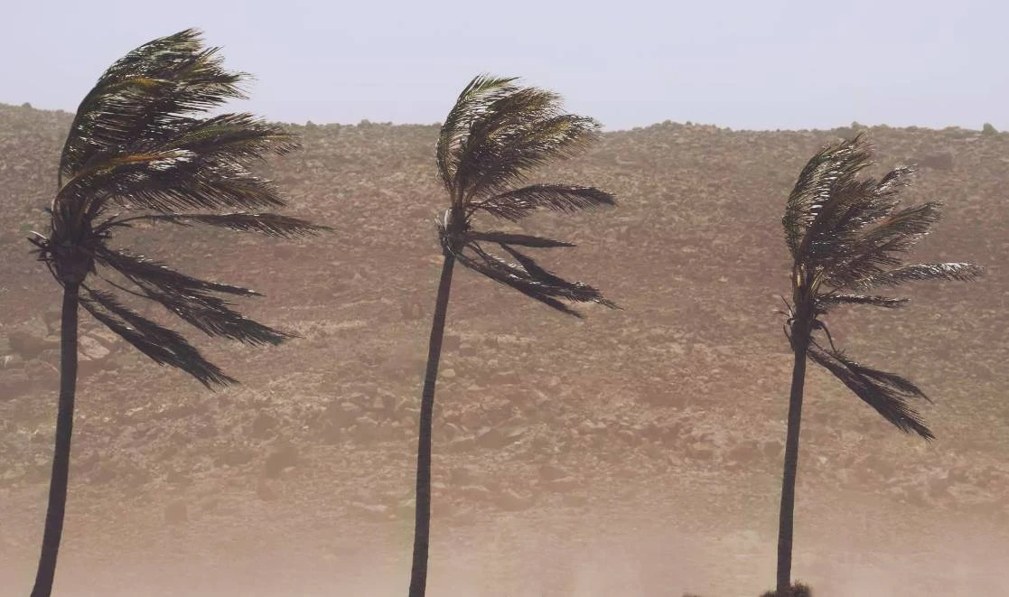 viento viento viento