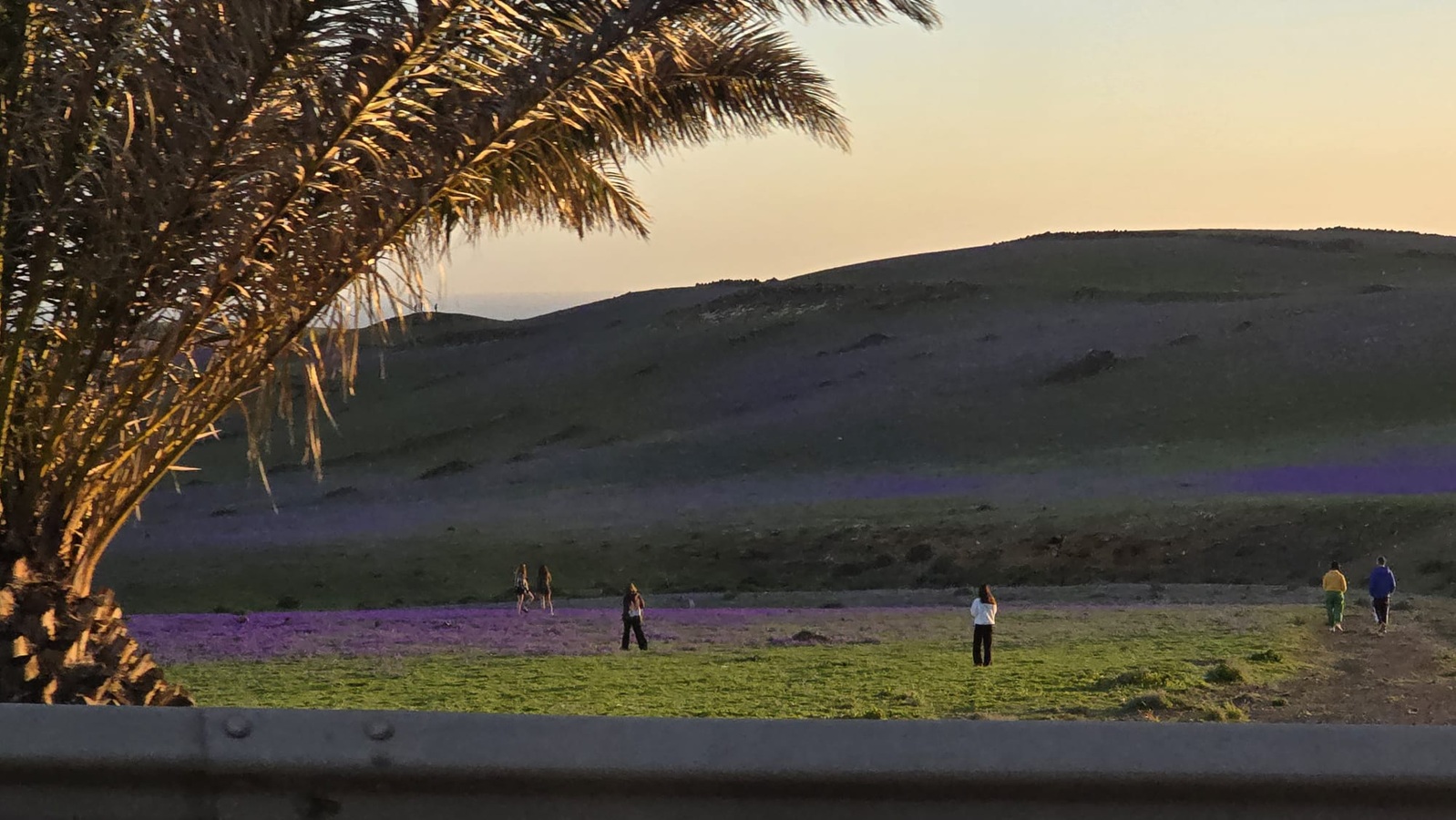 Noticias de Lanzarote y La Graciosa