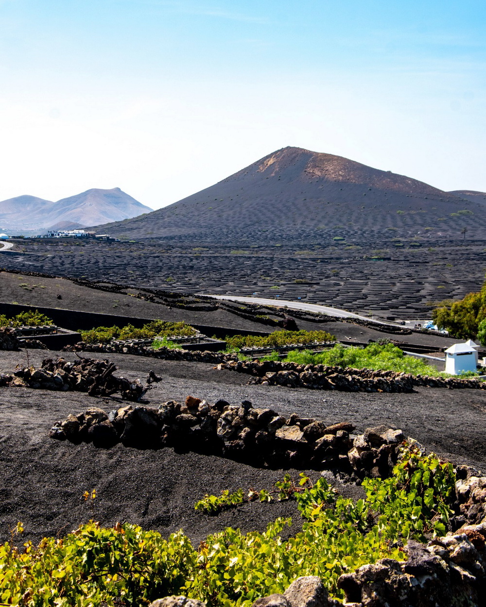 La Geria Blog Lanzarote