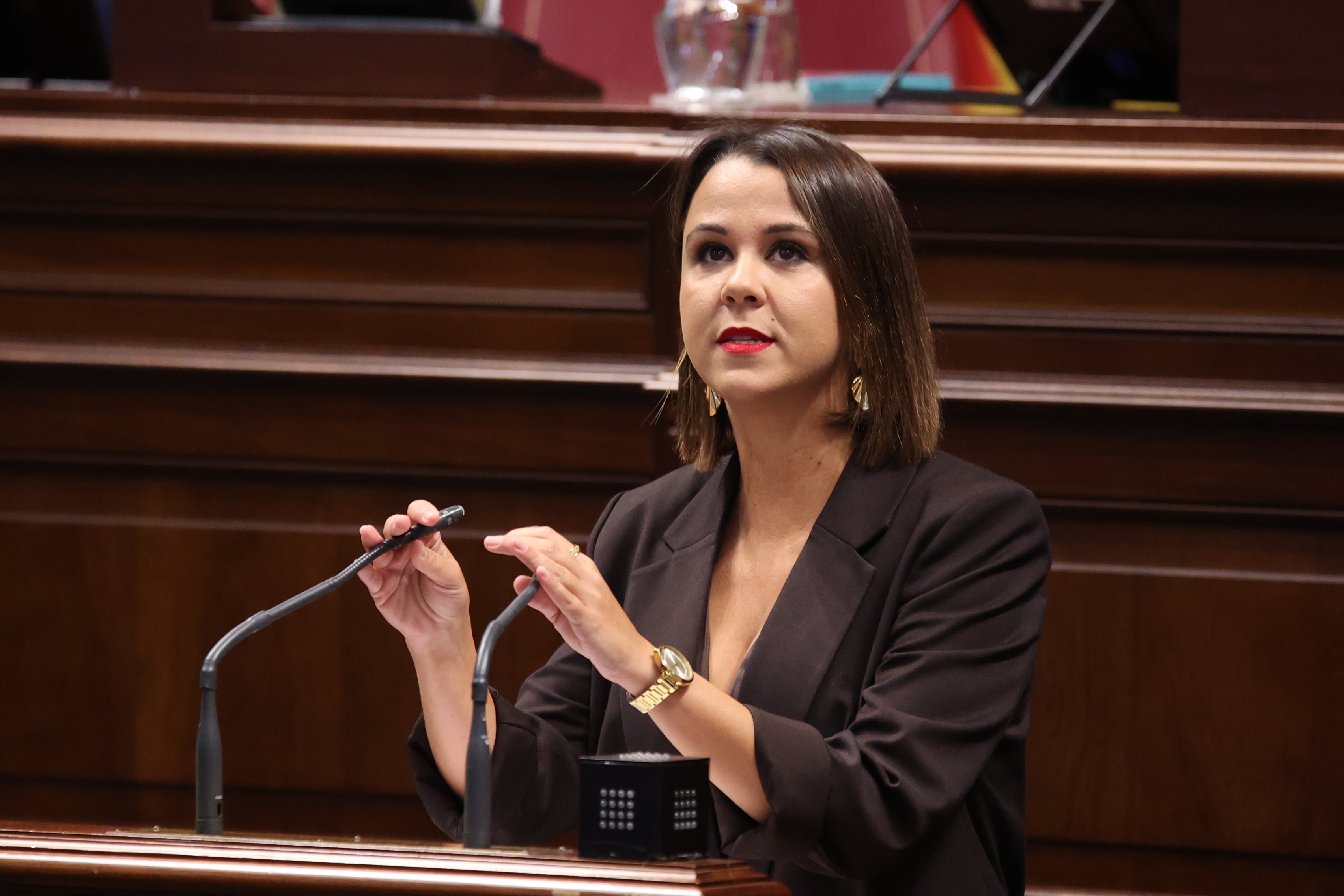 Apoyo un&aacute;nime del Parlamento de Canarias para proteger a los afectados por la Ley de Costas