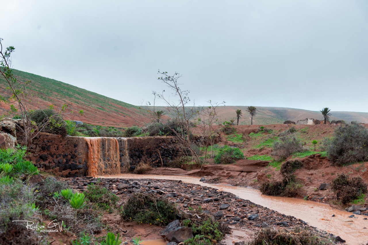 Las borrascas encadenadas desde diciembre dejan más días de lluvia, temperaturas bajas y una isla inusualmente verde