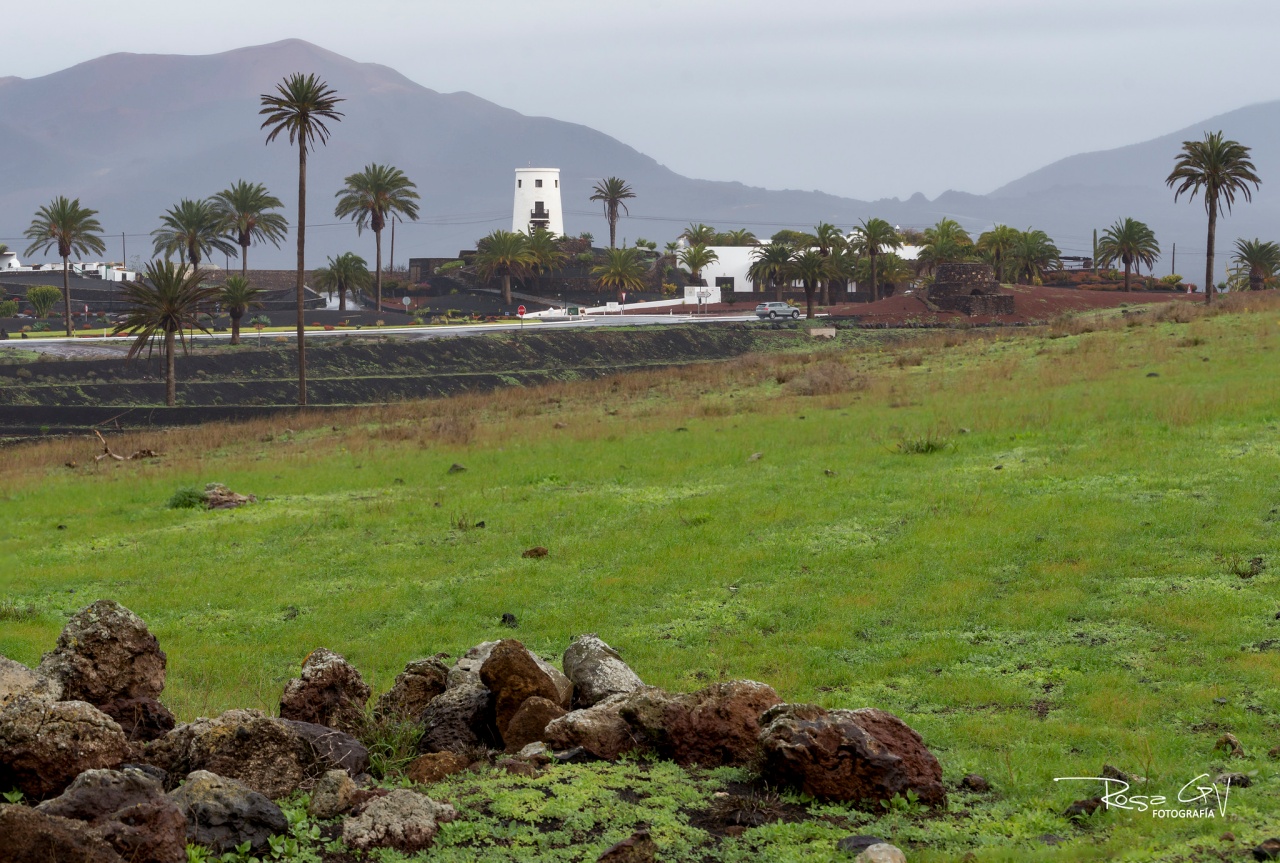 Las borrascas encadenadas desde diciembre dejan más días de lluvia, temperaturas bajas y una isla inusualmente verde
