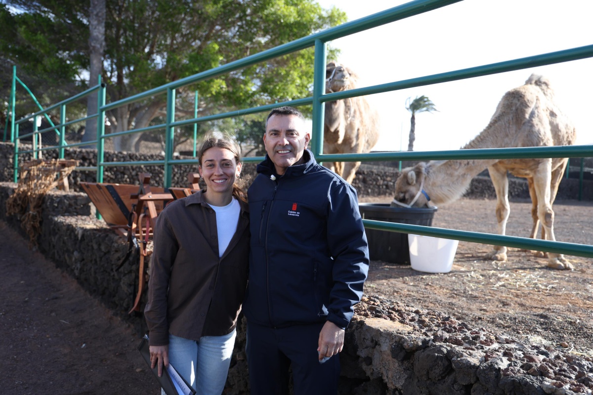 El Cabildo de Lanzarote continúa con su respaldo incuestionable y necesario al sector camellar