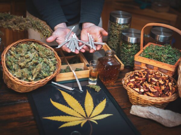 Weedestiny: la mayor plataforma para encontrar clubs de cannabis en España Weedestiny: la mayor plataforma para encontrar clubs de cannabis en España