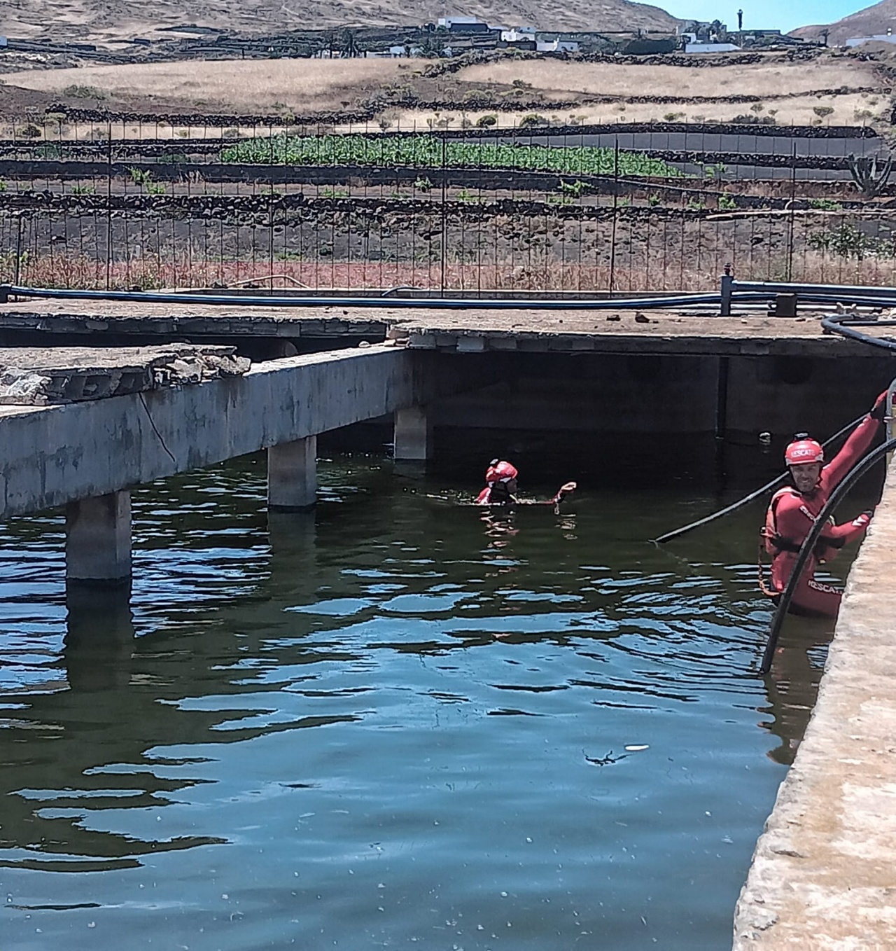 Rescate patitos