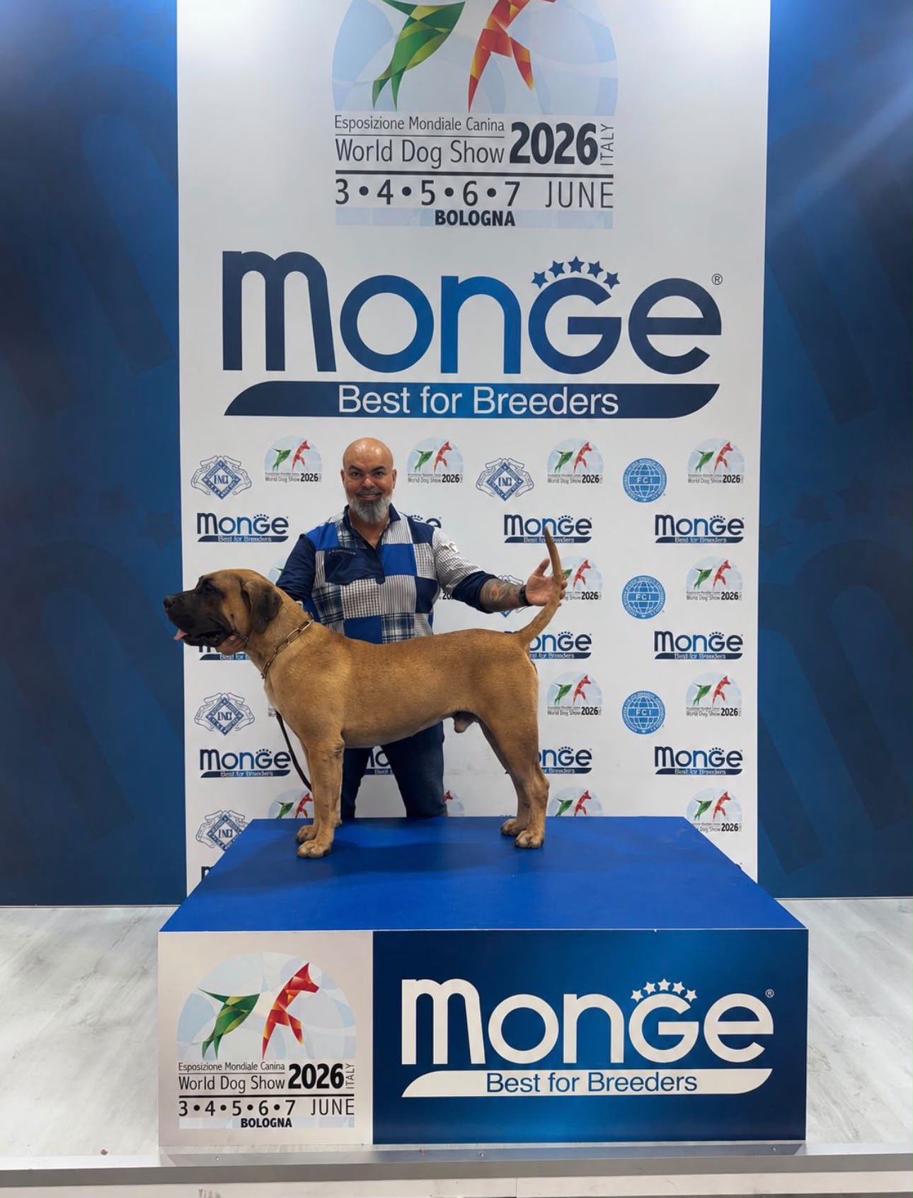 Guadanet Gofio se sitúa entre los mejores jóvenes ejemplares del mundo en la exposición canina más importante del planeta Guadanet Gofio se sitúa entre los mejores jóvenes ejemplares del mundo en la exposición canina más importante del planeta