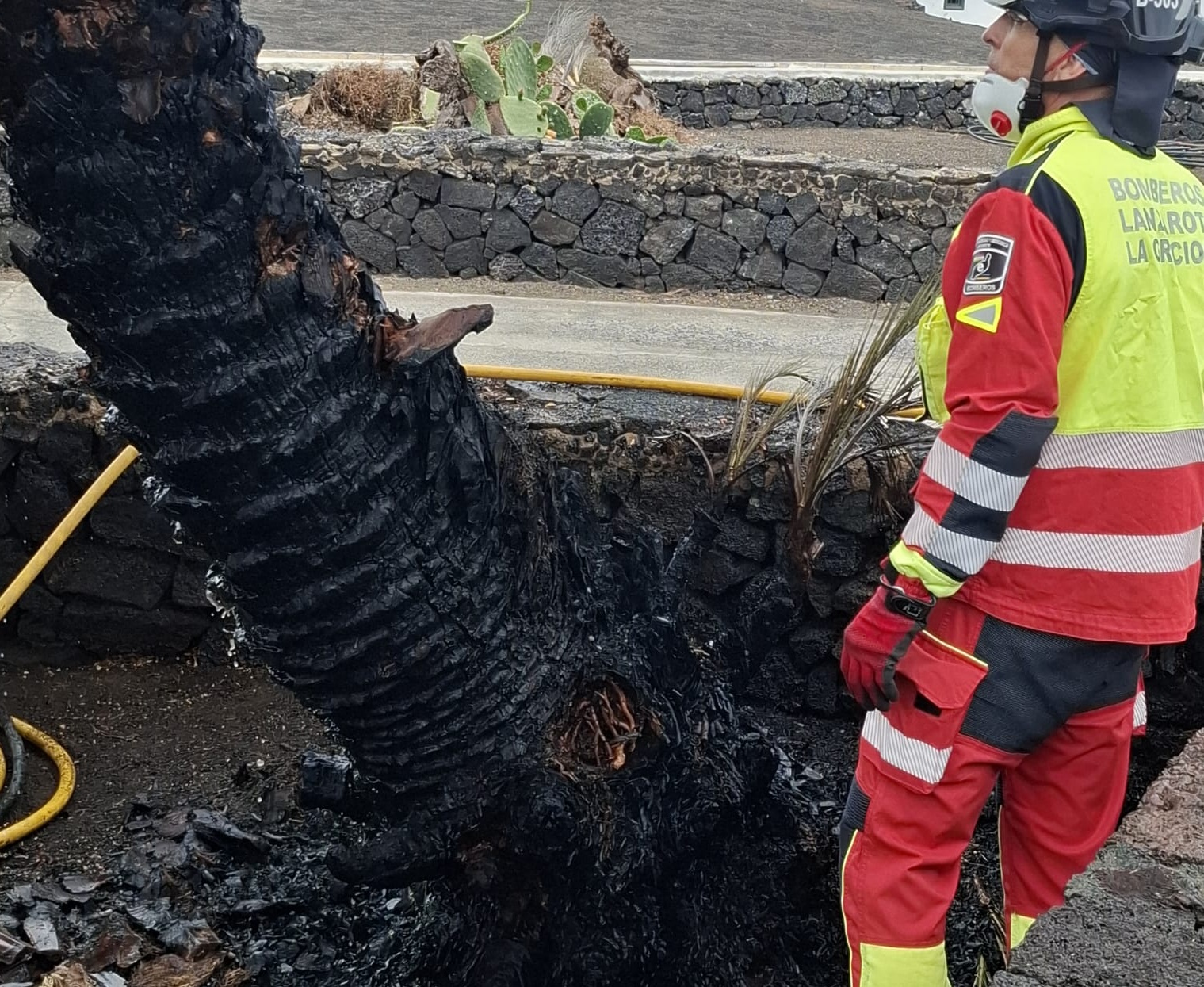 Adem&aacute;s de coches y contenedores, en Lanzarote tambi&eacute;n arden las palmeras