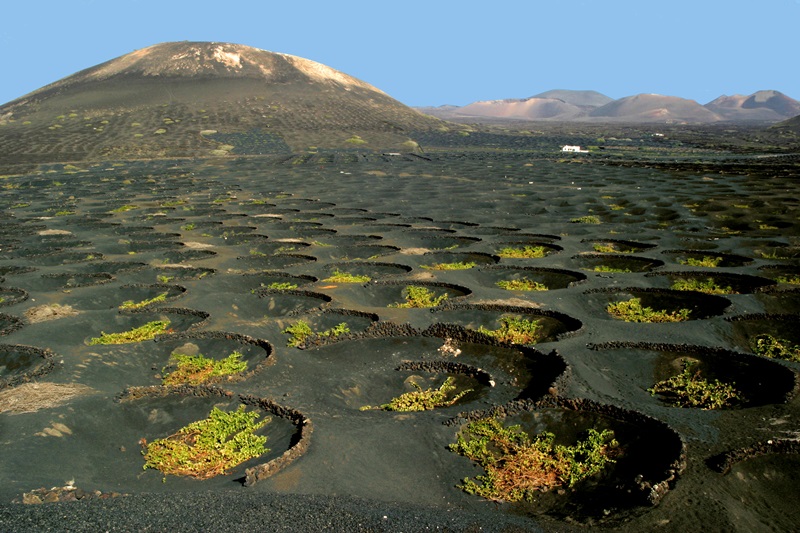 Turismo responsable e influencers: cómo Lanzarote puede atraer al viajero consciente que está reconfigurando el mercado europeo Turismo responsable e influencers: cómo Lanzarote puede atraer al viajero consciente que está reconfigurando el mercado europeo
