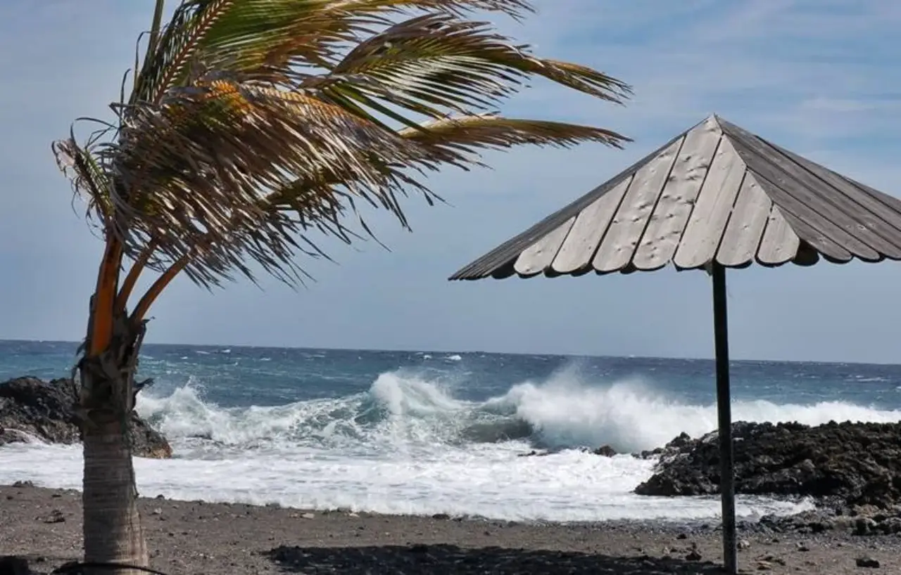 Viento