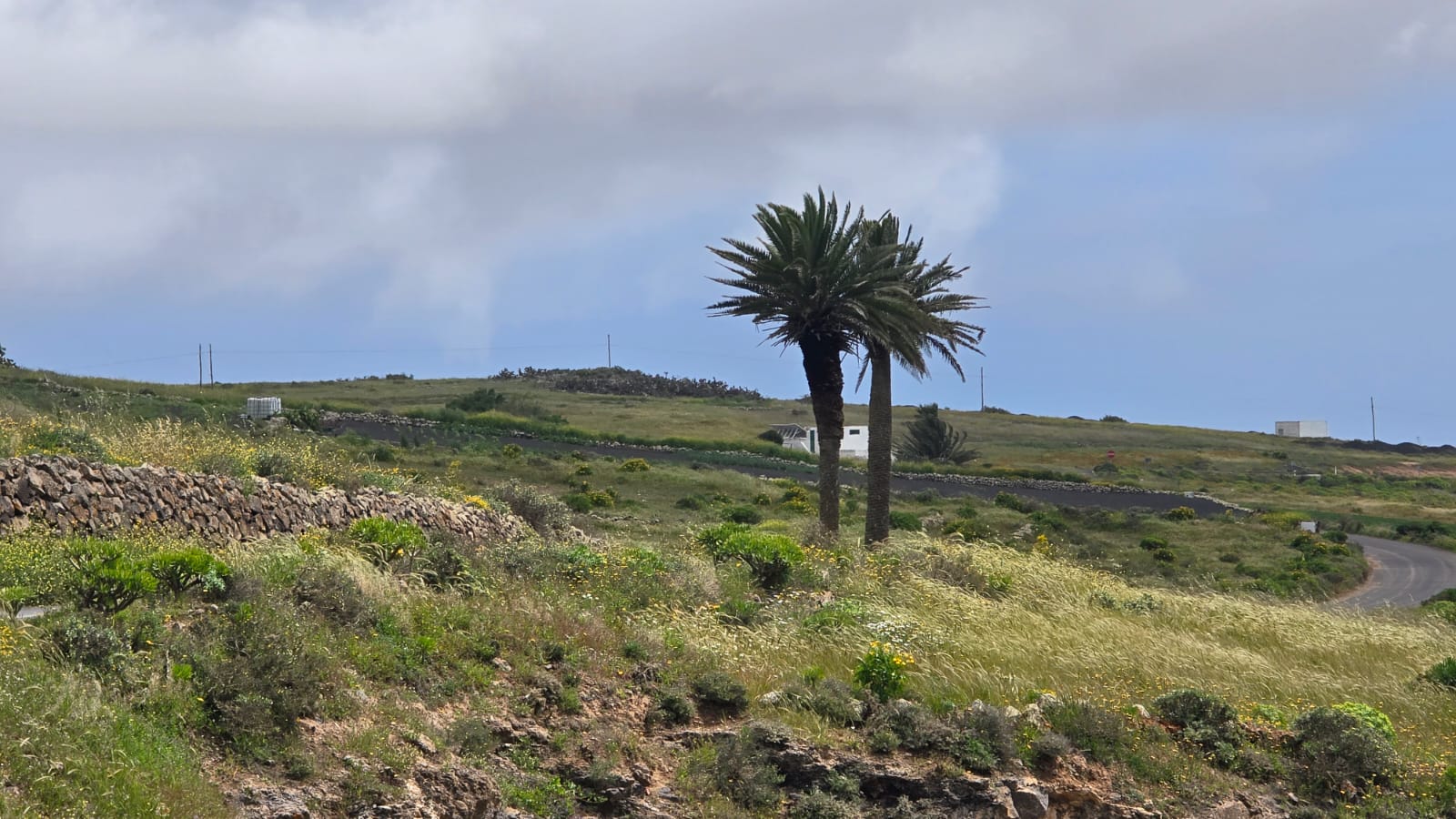 Noticias de Lanzarote y La Graciosa Noticias de Lanzarote y La Graciosa