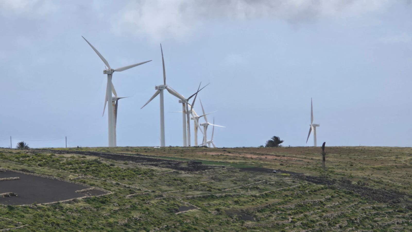 Noticias de Lanzarote y La Graciosa