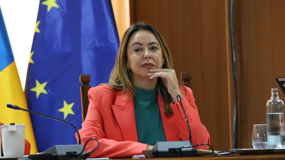 La secretaria del PSOE de Lanzarote ha manifestado su satisfacción al conocer la noticia La secretaria del PSOE de Lanzarote ha manifestado su satisfacción al conocer la noticia