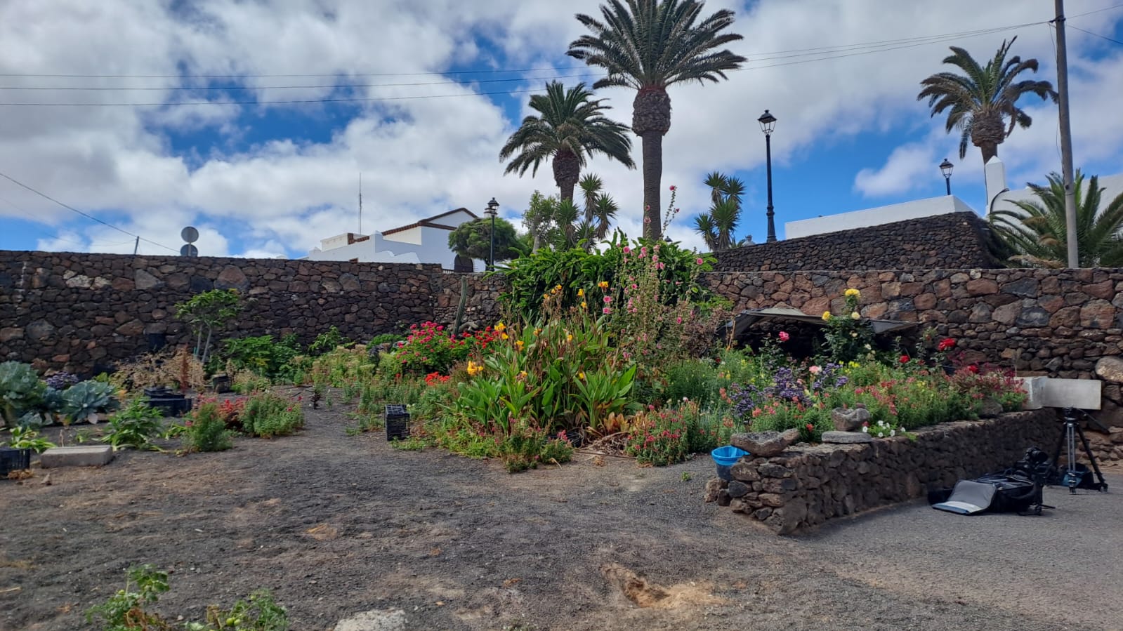 El proyecto educativo, desarrollado en los trece Colegios de la Biosfera, ha permitido realizar 96 talleres y recrear los huertos escolares en espacios de aprendizaje El proyecto educativo, desarrollado en los trece Colegios de la Biosfera, ha permitido realizar 96 talleres y recrear los huertos escolares en espacios de aprendizaje