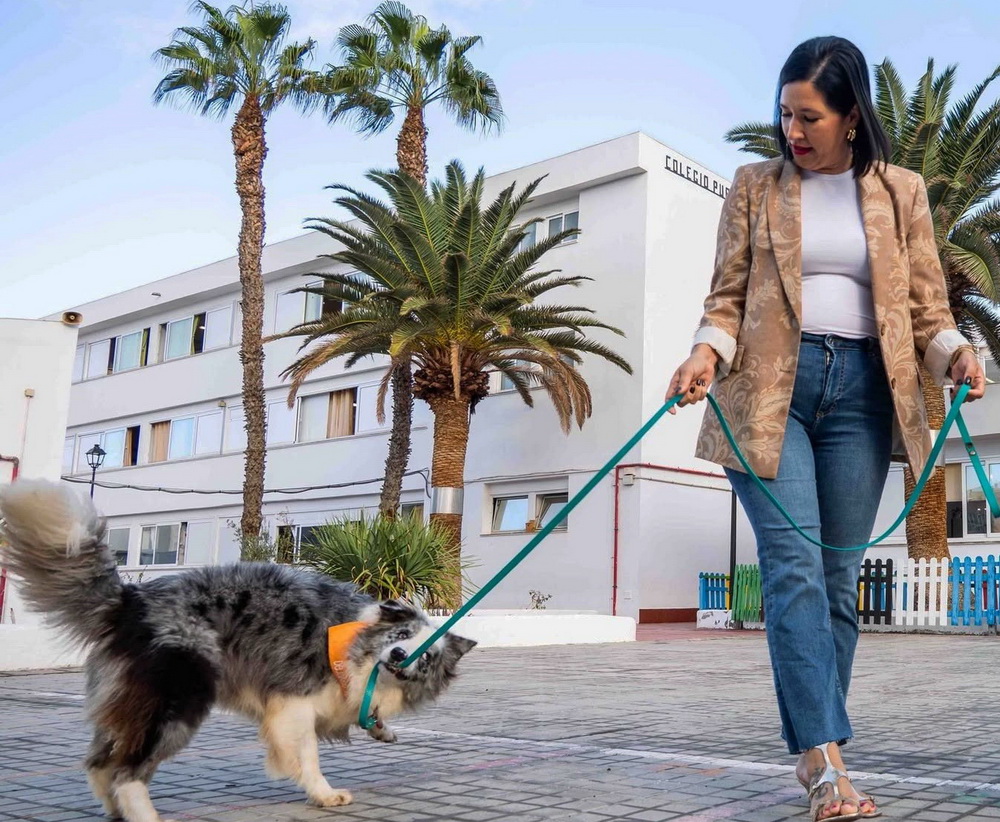 Perros Cultura Arrecife Perros Cultura Arrecife