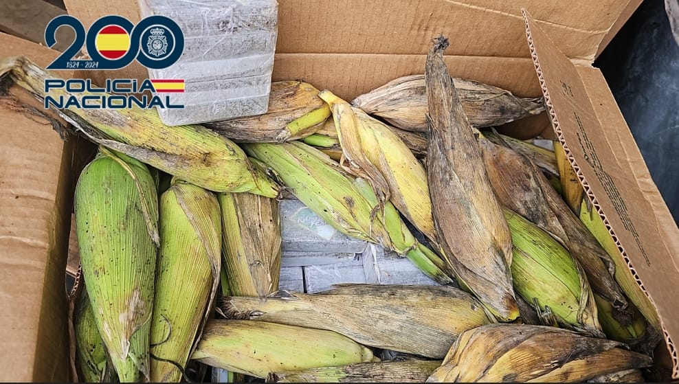 La Policía Nacional desarticula una organización criminal dedicada al tráfico de estupefacientes entre las islas e interviene 350 kilogramos de hachís