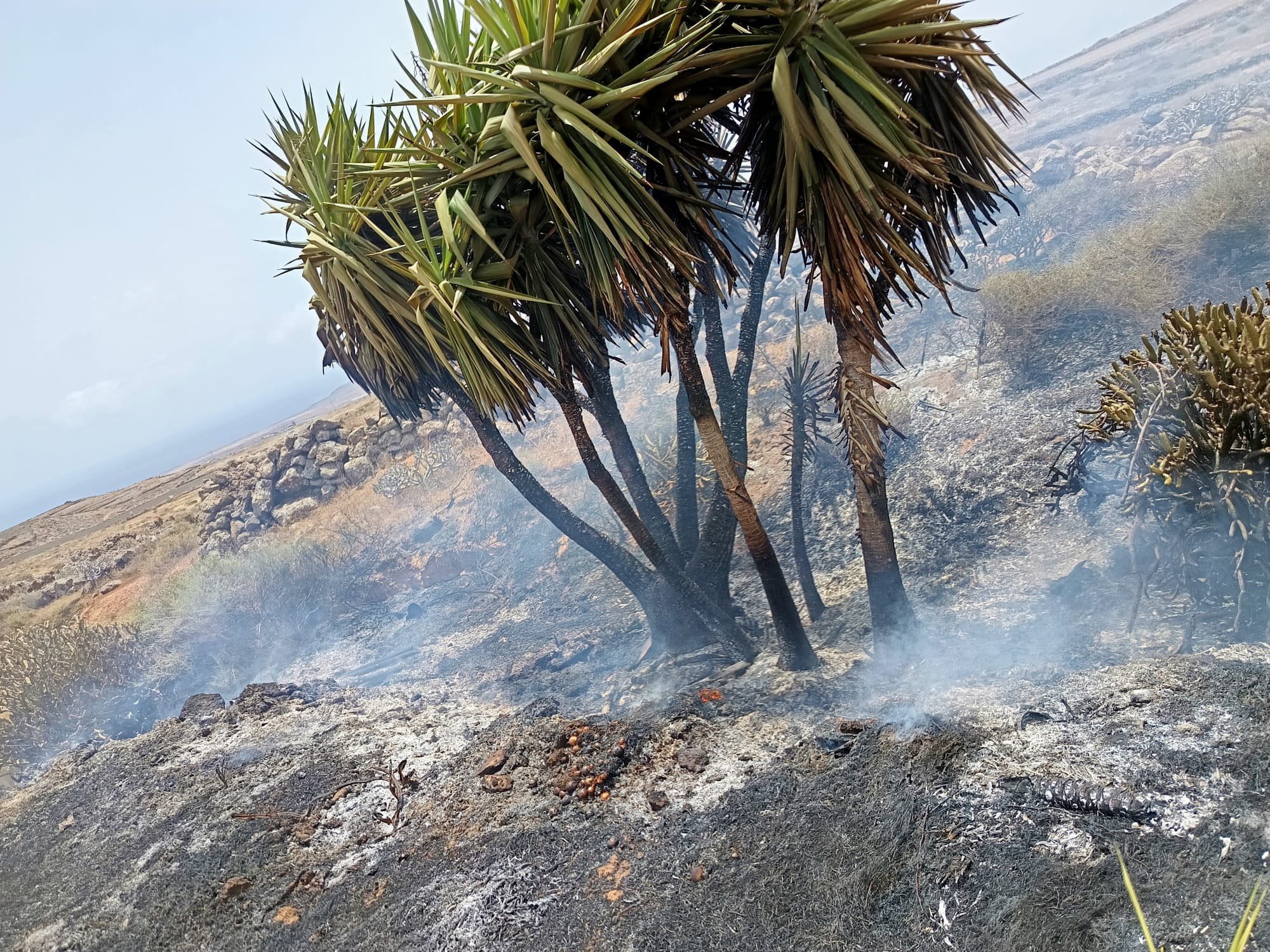 Un incendio de pastos quema 5.000 metros cuadrados en El Moj&oacute;n