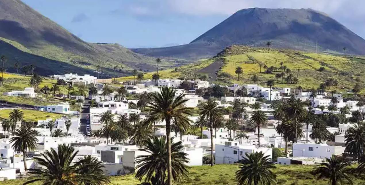 palmeral haría