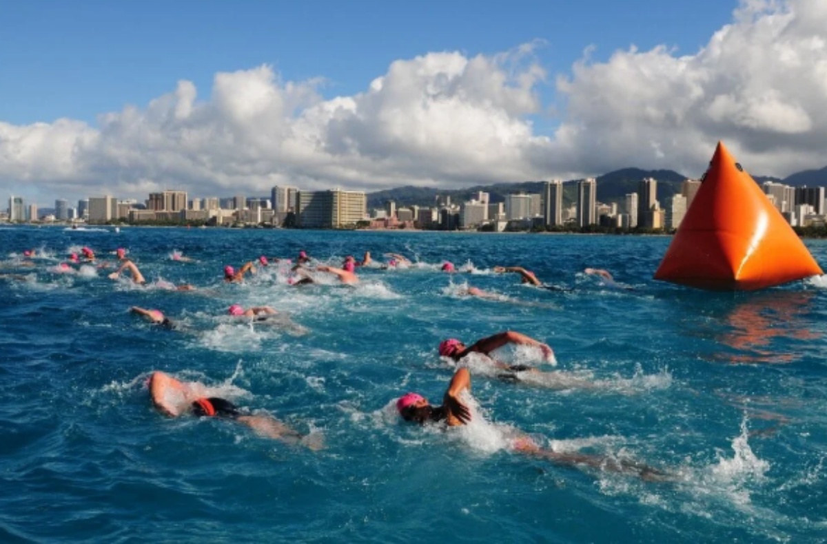 Cómo en natación en aguas abiertas los deportistas se orientan sin líneas en el fondo? Cómo en natación en aguas abiertas los deportistas se orientan sin líneas en el fondo?