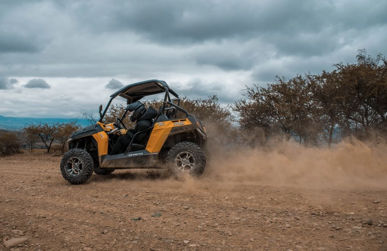 Buggy en venta en España: cómo encontrar el mejor precio sin llevarte un disgusto