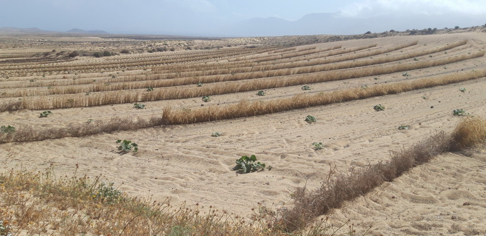 Consorcio Agua ayudas