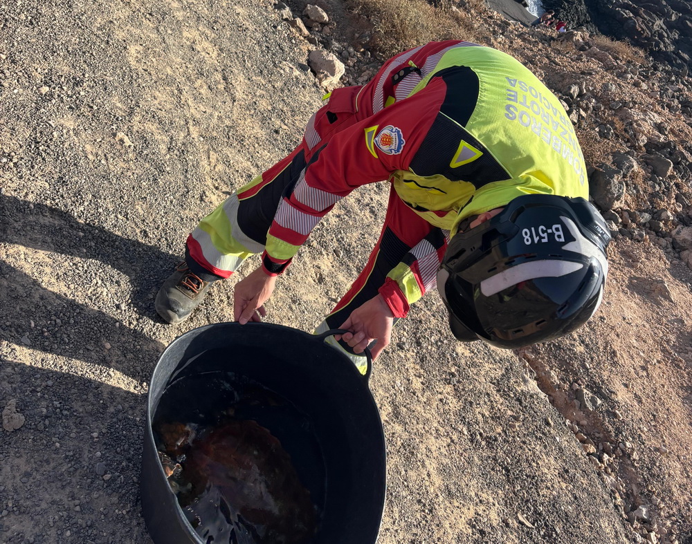 Rescate tortuga Ancones