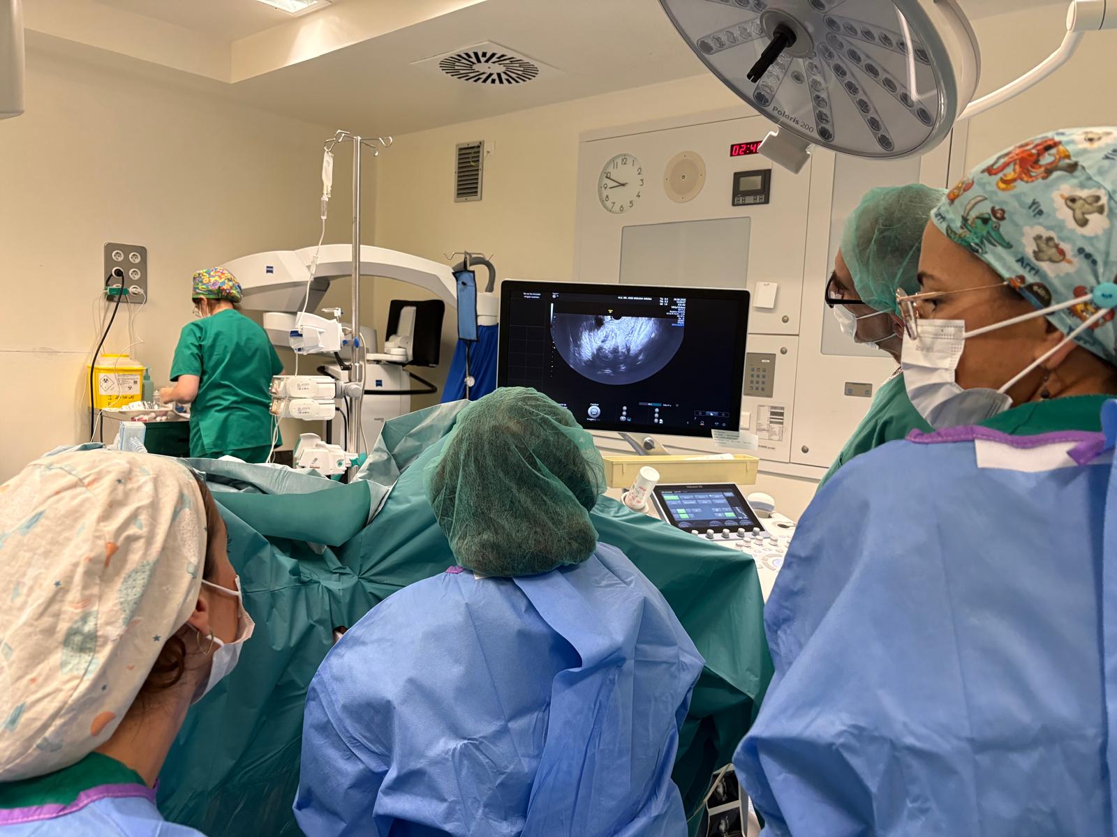 El hospital Molina Orosa ha tratado ya a tres mujeres con este procedimiento mínimamente invasivo para reducir miomas uterinos El hospital Molina Orosa ha tratado ya a tres mujeres con este procedimiento mínimamente invasivo para reducir miomas uterinos