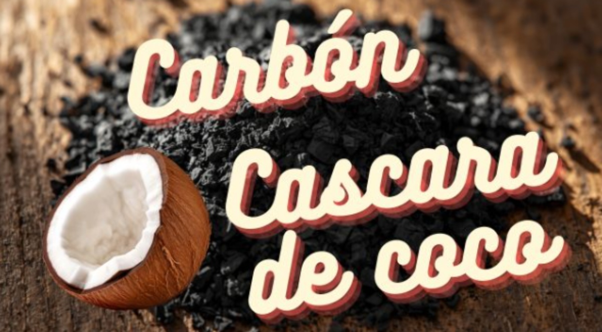 Carbón de Coco: El Combustible Ecológico que No Tala Árboles