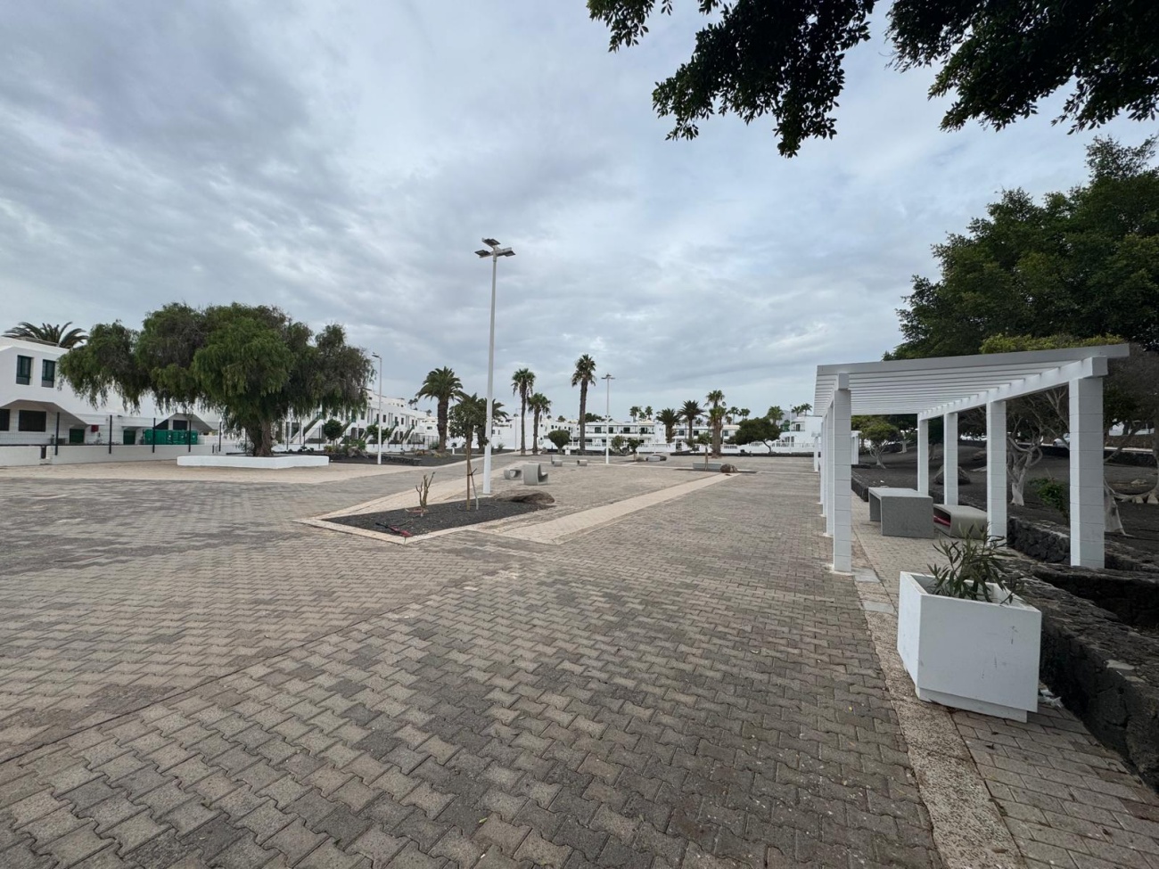 La plaza Cruz Roja incorpora nuevas zonas de sombra, mobiliario y especies vegetales adaptadas al entorno La plaza Cruz Roja incorpora nuevas zonas de sombra, mobiliario y especies vegetales adaptadas al entorno
