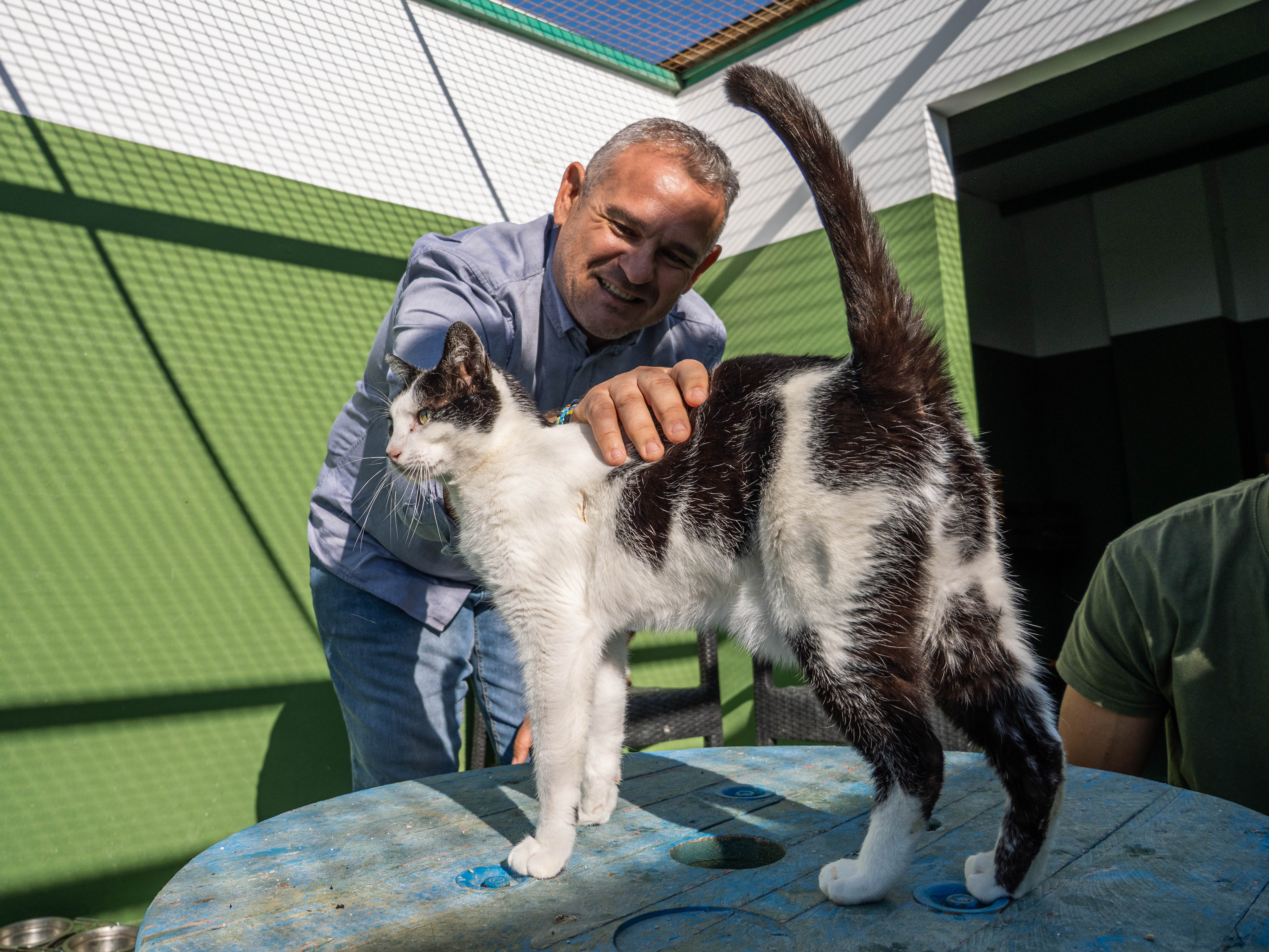 Bienestar Animal reunirá el 14 de octubre a asociaciones y cuidadores para coordinar esterilizaciones y atención veterinaria Bienestar Animal reunirá el 14 de octubre a asociaciones y cuidadores para coordinar esterilizaciones y atención veterinaria
