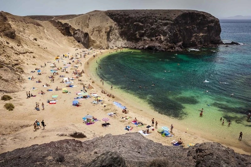 Papagayo no puede morir de éxito Papagayo no puede morir de éxito