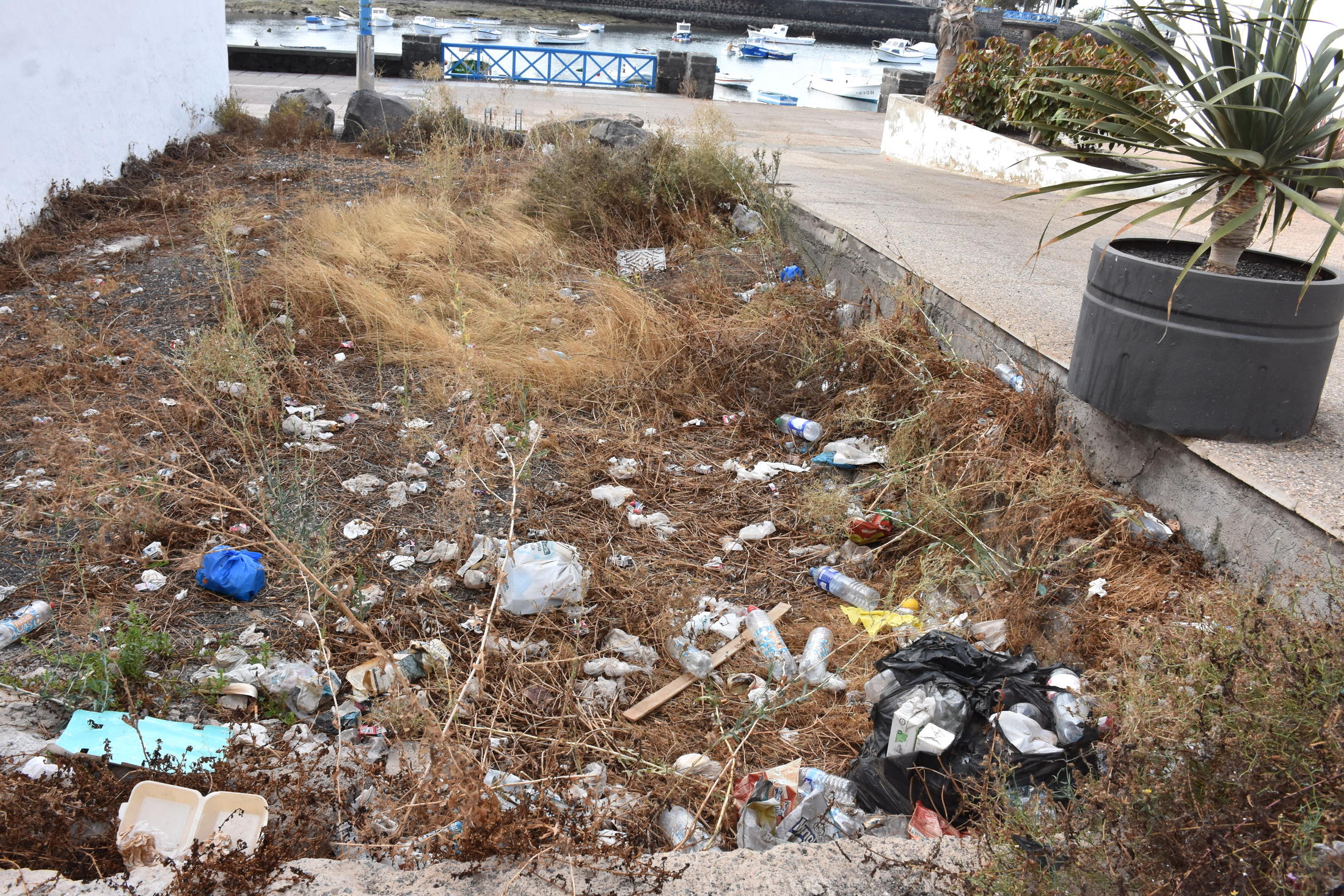 Los vecinos denuncian la acumulación de basura en los alrededores de la calle Lugo, en pleno centro de Arrecife Los vecinos denuncian la acumulación de basura en los alrededores de la calle Lugo, en pleno centro de Arrecife