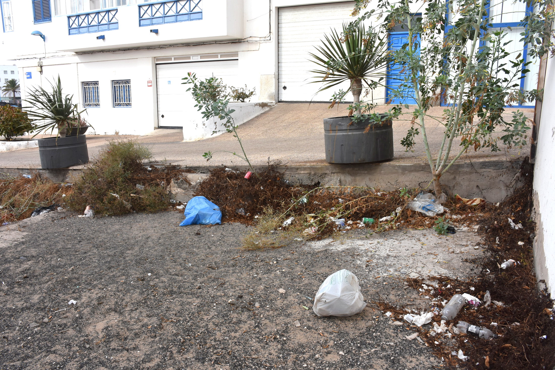 Los vecinos denuncian la acumulación de basura en los alrededores de la calle Lugo, en pleno centro de Arrecife Los vecinos denuncian la acumulación de basura en los alrededores de la calle Lugo, en pleno centro de Arrecife