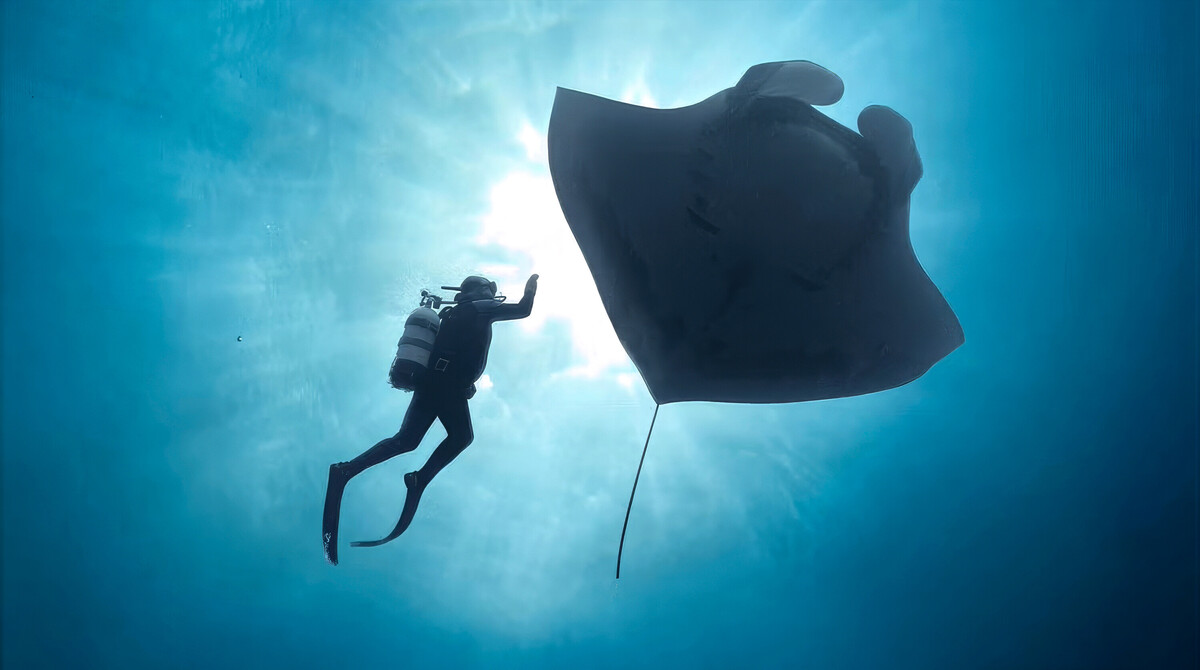 Jameos del Agua acoge el gran final del International Ocean Film Tour