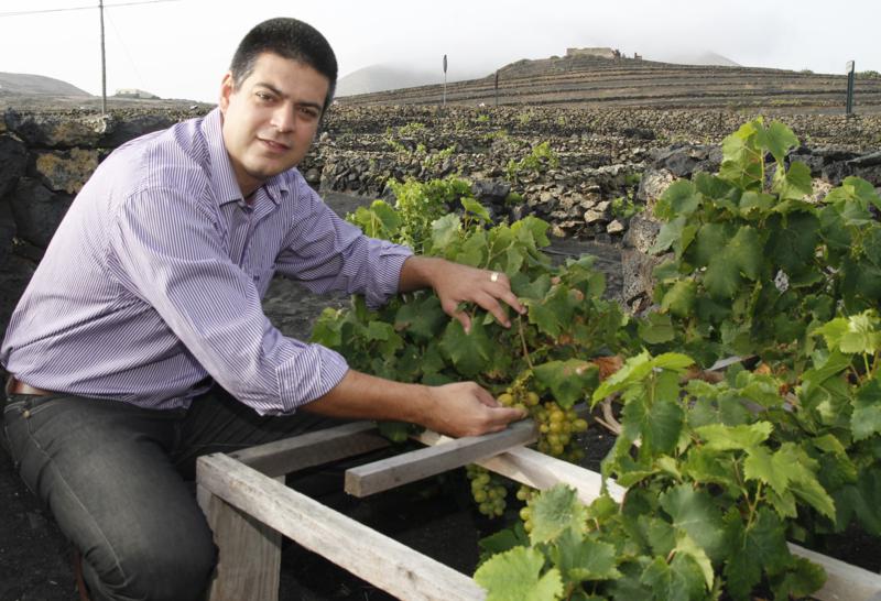 Javier Betancort, director del Consejo Regulador.