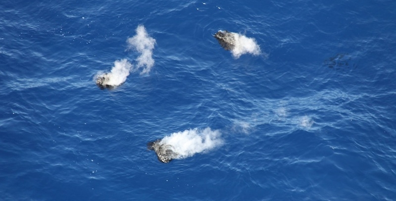 Trozos de lava humeantes aparecidos en aguas de El Hierro el pasado fin de semana.