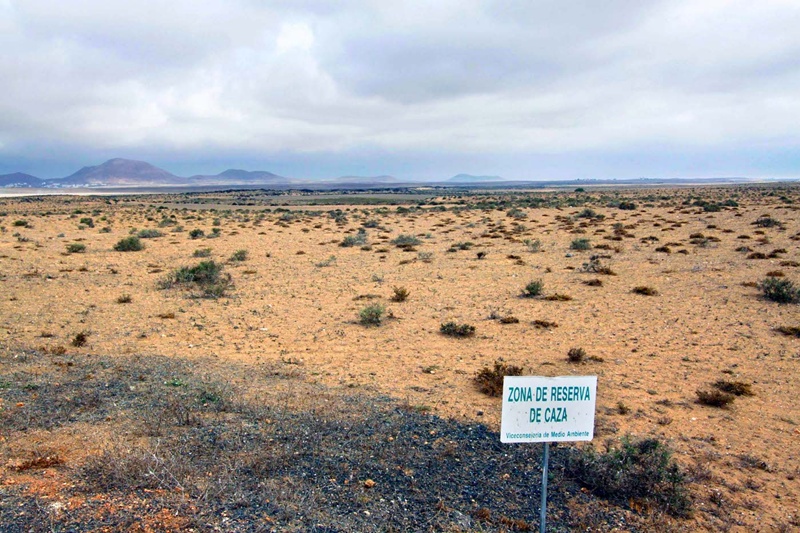 Los que quieran tener la licencia de caza ya tienen fecha para intentarlo.