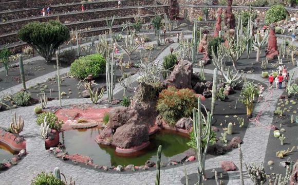 El Jardín de Cactus elegido como uno de los más bellos del mundo por los usuarios de Minuve