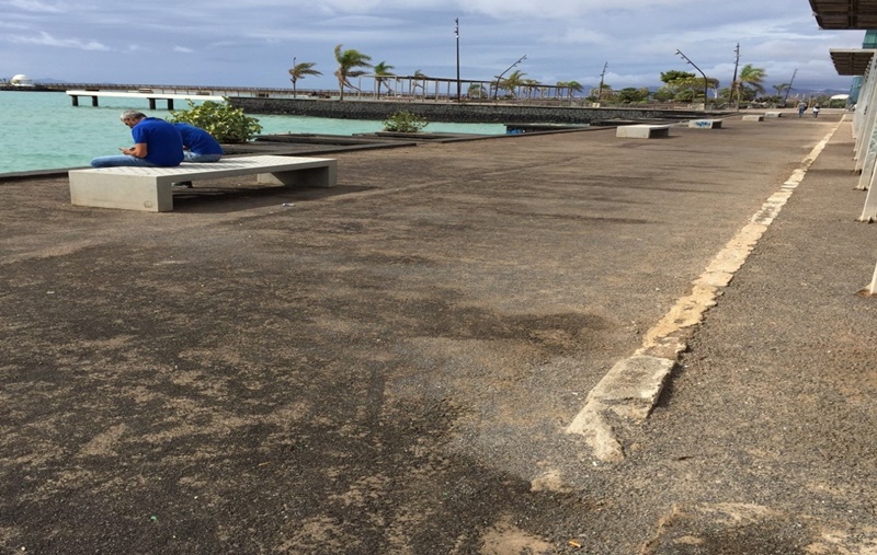 Ciudadanos critica el lamentable estado del parque.