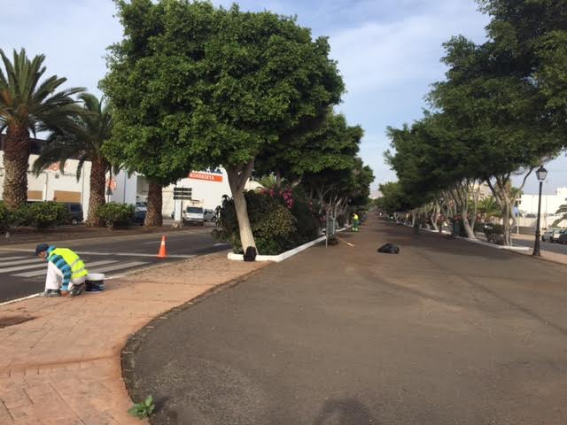 Distintos operarios trabajan en la zona