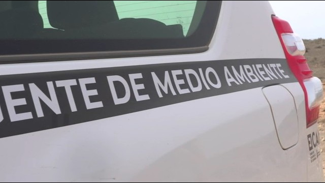 El Cabildo estudia regular la extracción y exportación de rofe para evitar su salida de Lanzarote